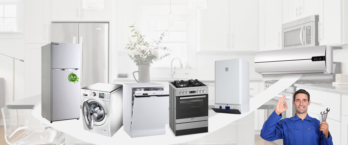 Sinanpaşa Electrolux Servisi